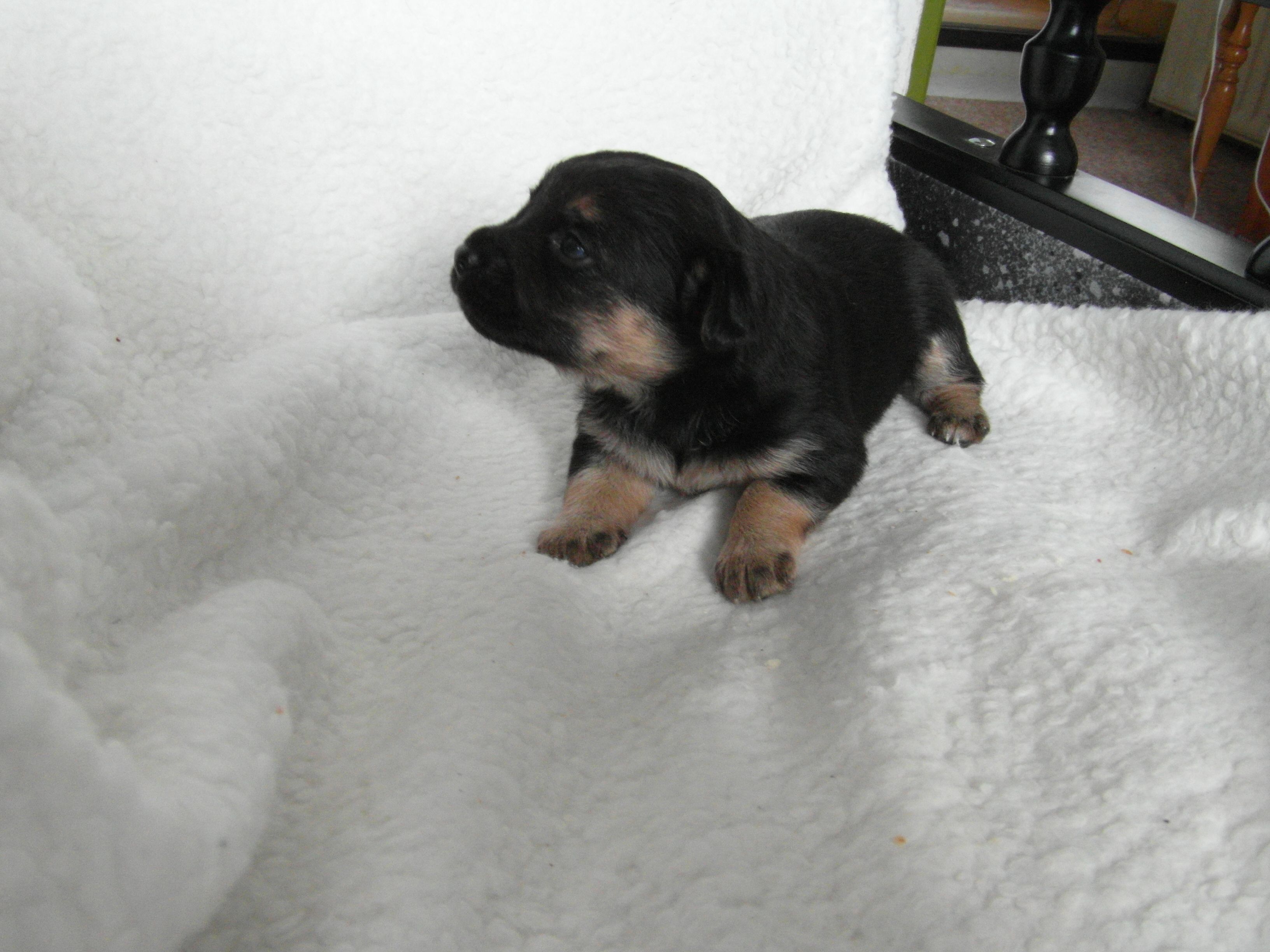 SAM_0360